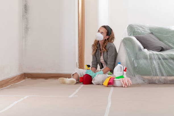 Reliable Mold Remediation contractor in Arlington, VA by Cheap Mold Removal